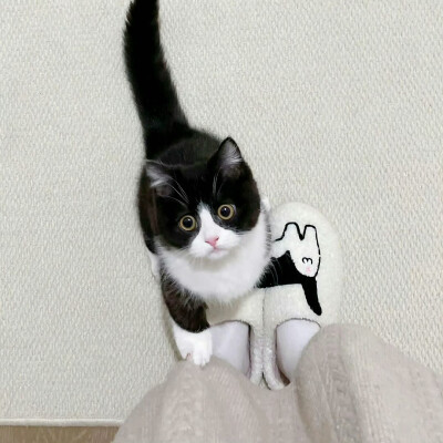 图源ks：偷喝汽水