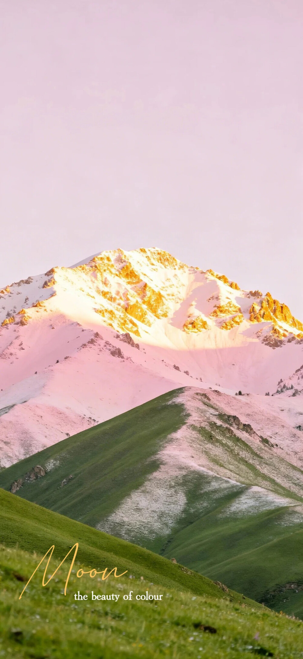 平铺壁纸 手机壁纸