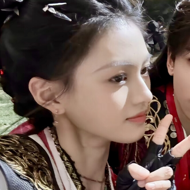 我想朝雪录了好不好