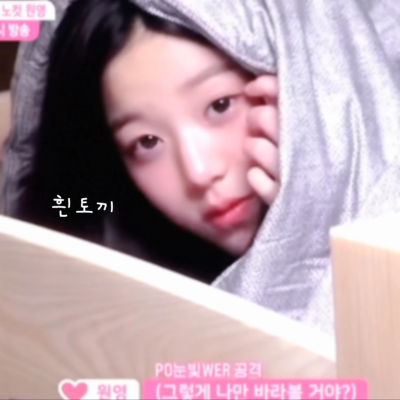 躲猫猫（划掉）兔兔