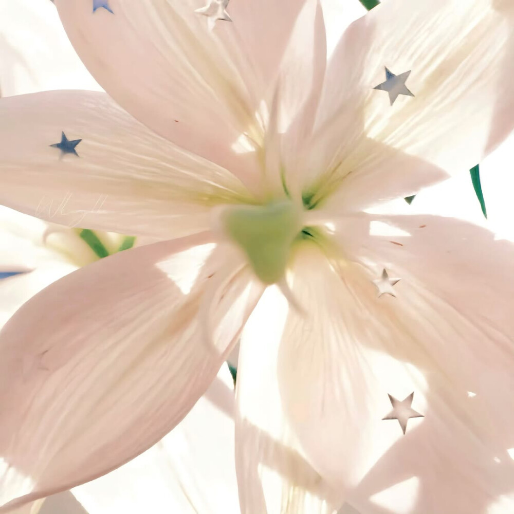 图源ks：偷喝汽水