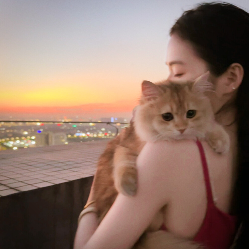 女头
二传头像注明出处