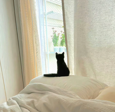 什么都是短暂的 只有怀念和失去才是最漫长的