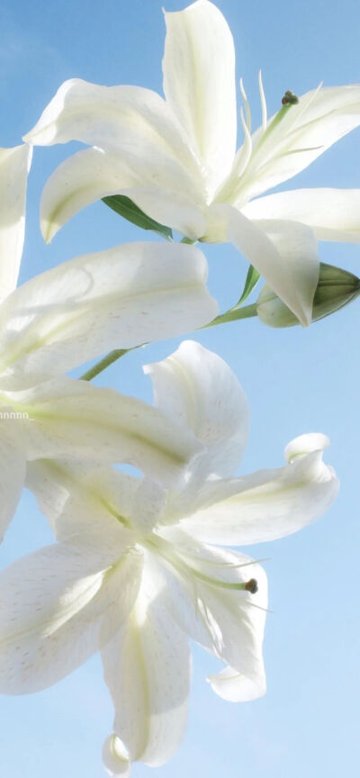 ‎#ليس قوة خارقة