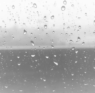 什么都是短暂的 只有怀念和失去才是最漫长的