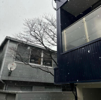 背景·图源微博