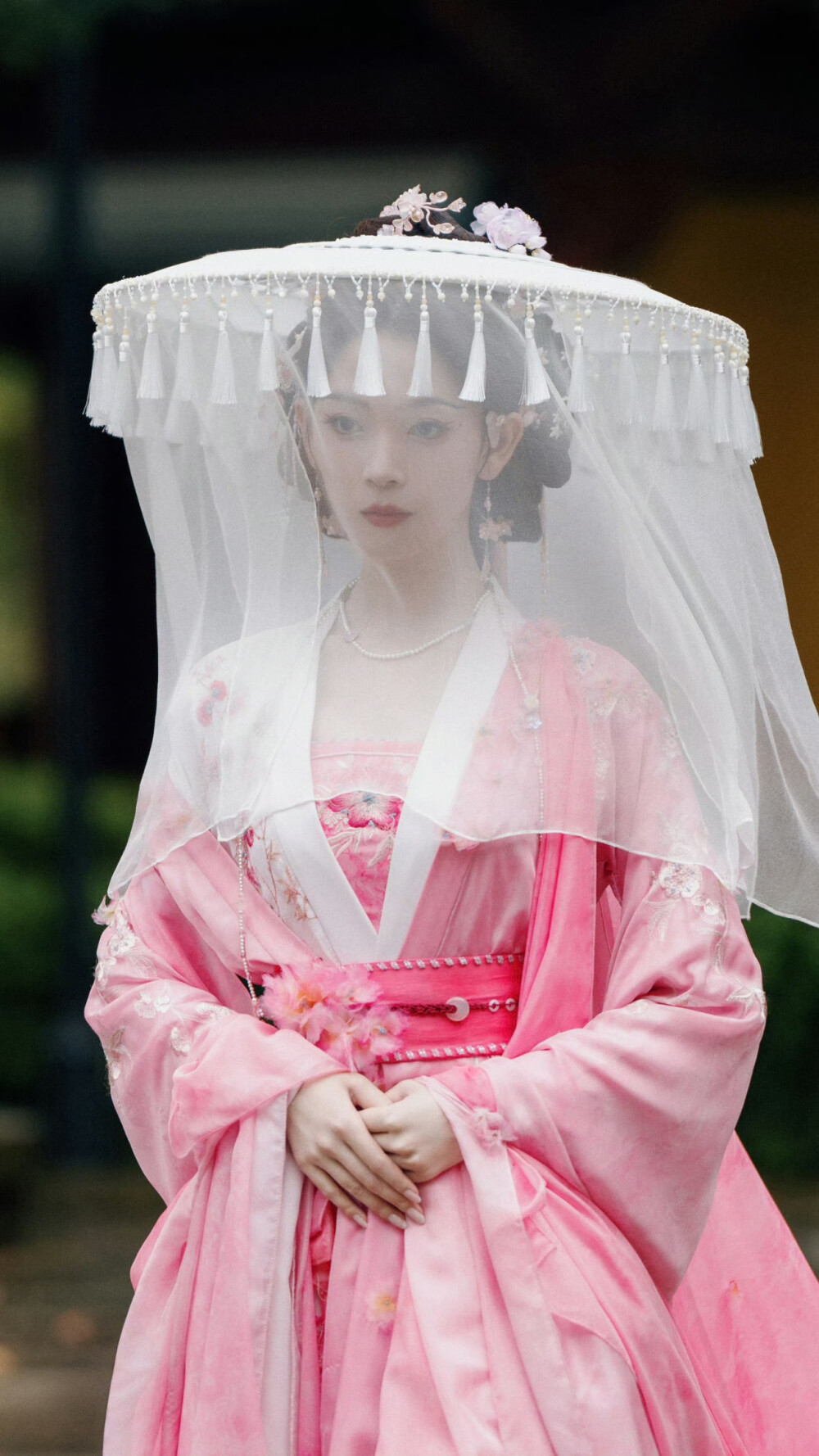 水龙吟 西方桃 陈瑶