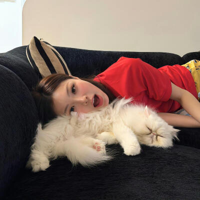 头像·图源微博