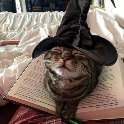 我是不会放弃收集这种图片的