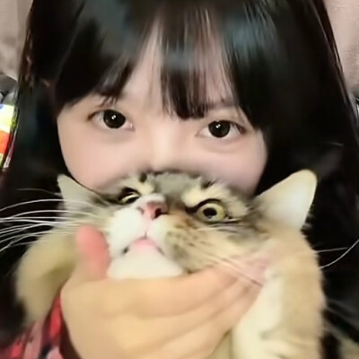 这张我怎么记得也发过