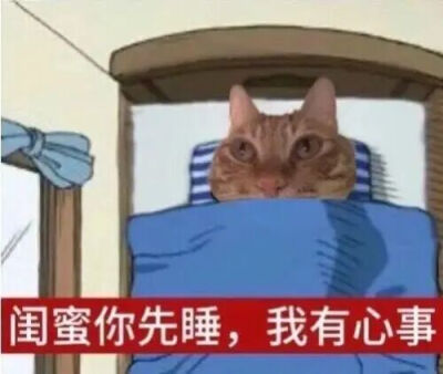 猫猫表情包