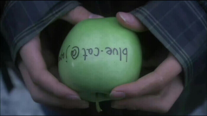 《关于莉莉周的一切》｜日 岩井俊仁 2001年
青苹果