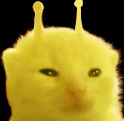 外星七彩小猫 组团头像