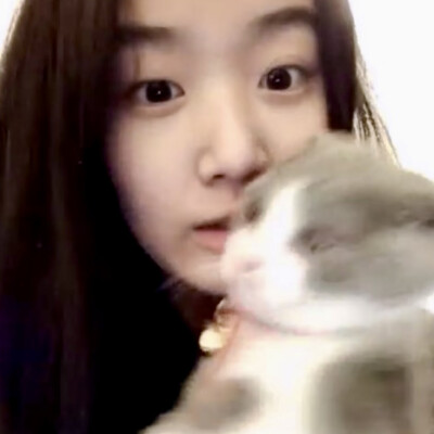 两张和小茂密的