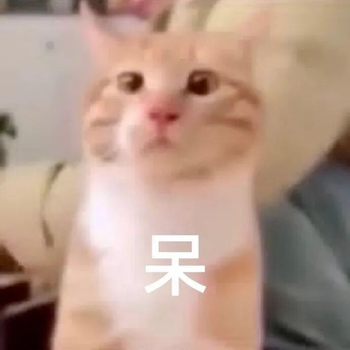 猫猫表情包