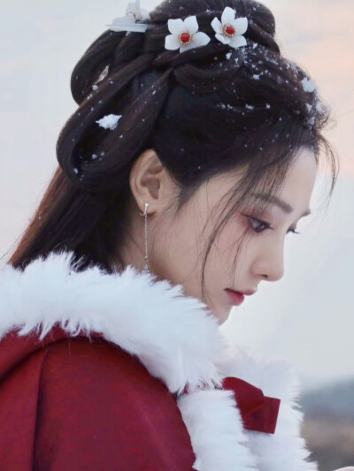 凤凰台上 凌苍苍 彭小苒