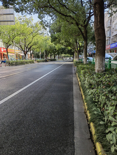 其实这条马路（泽普路）很好看的，我的手机拍出来不好看2025/11/26
