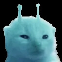 外星七彩小猫 组团头像