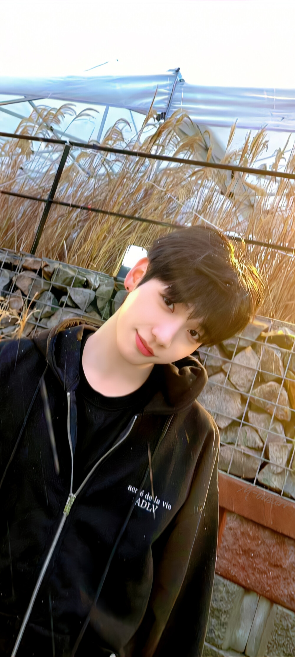 kpop壁纸｜十年前的蝴蝶飞回我手心