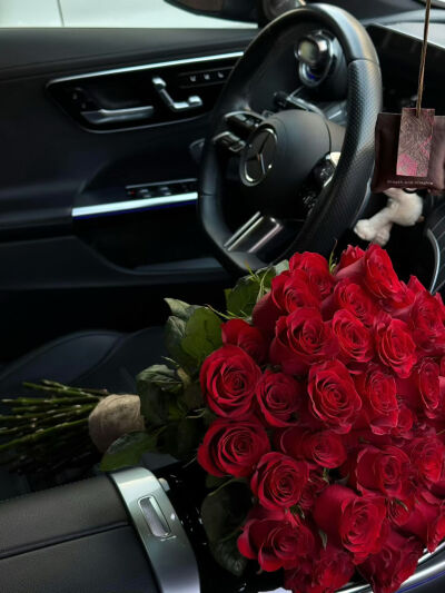 我自甘堕落 救我就是害我。