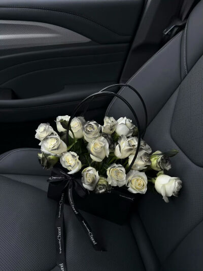 我自甘堕落 救我就是害我。