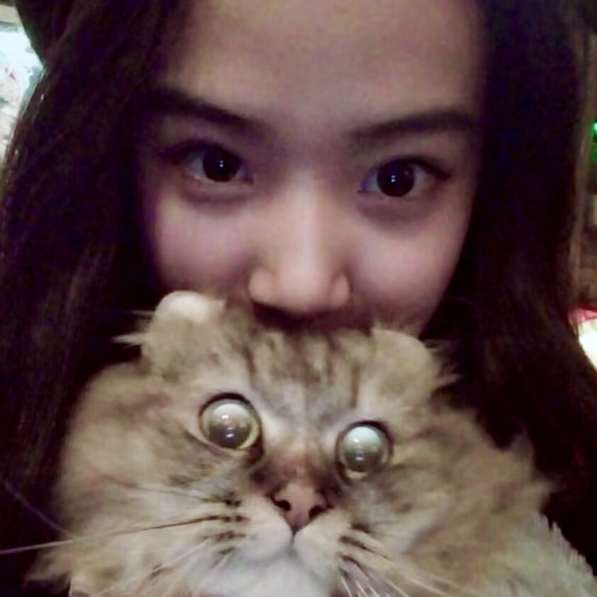 两张和小茂密的