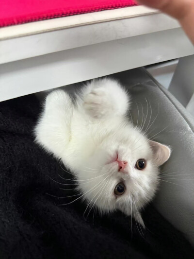 Nan//精选主页图 键盘壁纸 高清微信背景图 INS objects极简 文字 黑白 小众 氛围感 