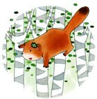 “露露和拉拉”系列作者--（日）安昼安子