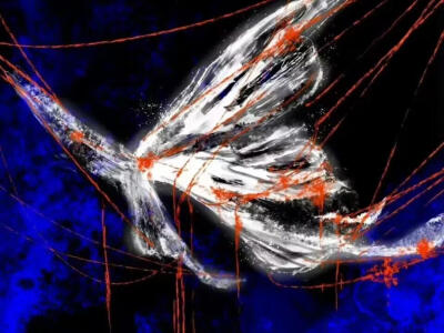 你是我未曾拥有无法捕捉的亲昵