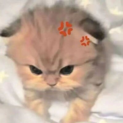 我是不会放弃收集这种图片的