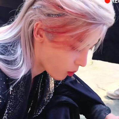 我在乌龟海很想你