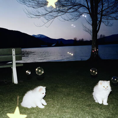 Nan//精选主页图 键盘壁纸 高清微信背景图 INS objects极简 文字 黑白 小众 氛围感 