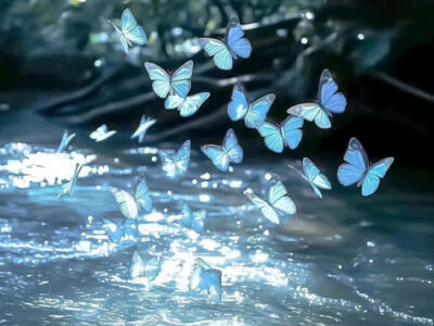 你是我未曾拥有无法捕捉的亲昵