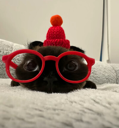 喵
头像/背景图/可爱