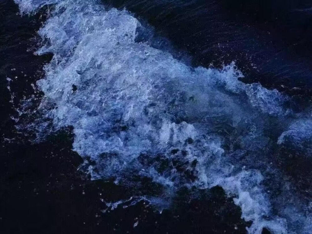 你是我未曾拥有无法捕捉的亲昵