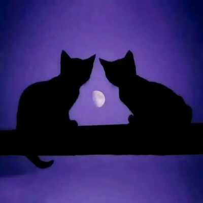 我是不会放弃收集这种图片的