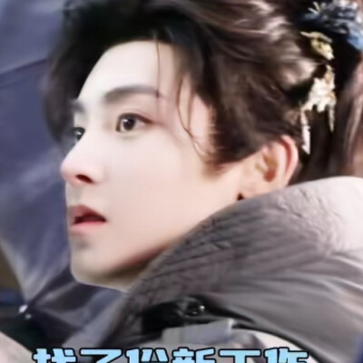 我在乌龟海很想你