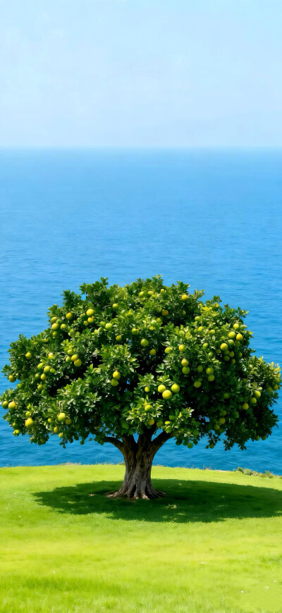 晦气，去～去～去～