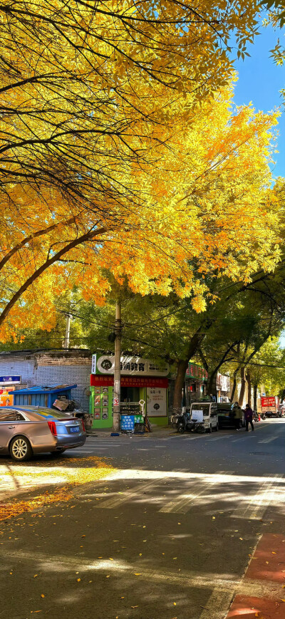 壁纸·图源微博