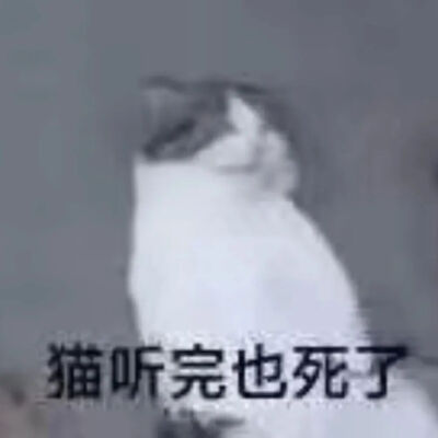 猫猫表情包