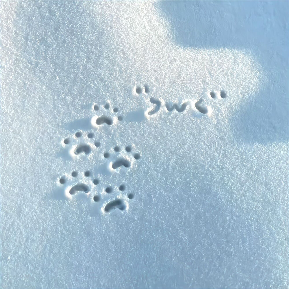 Nanの氛围感朋友圈搭配集