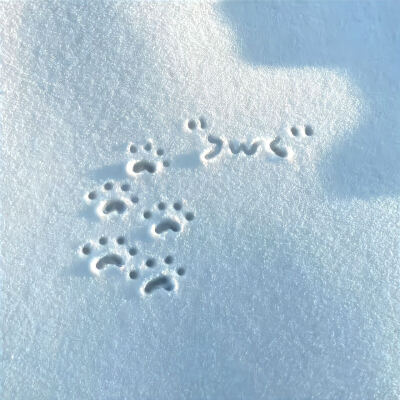 Nanの氛围感朋友圈搭配集