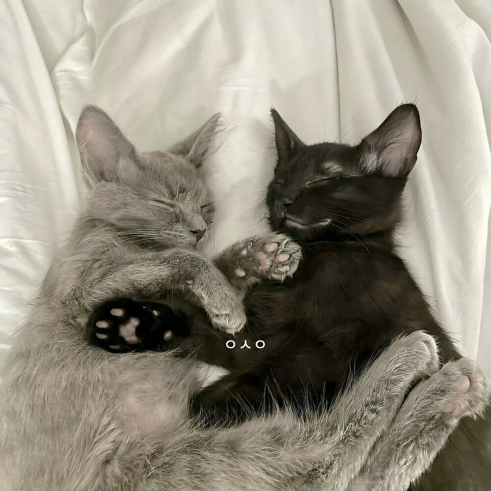 图源ks：偷喝汽水