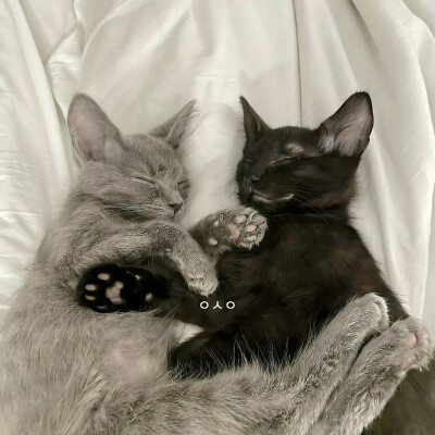 图源ks：偷喝汽水