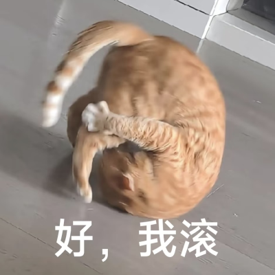猫猫表情包