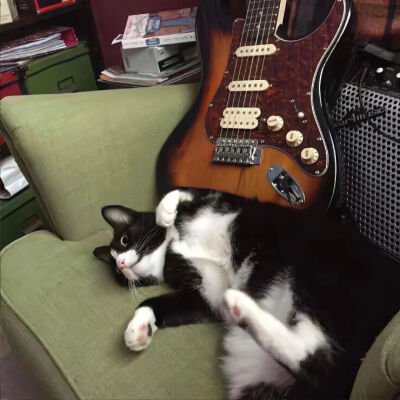 我是不会放弃收集这种图片的