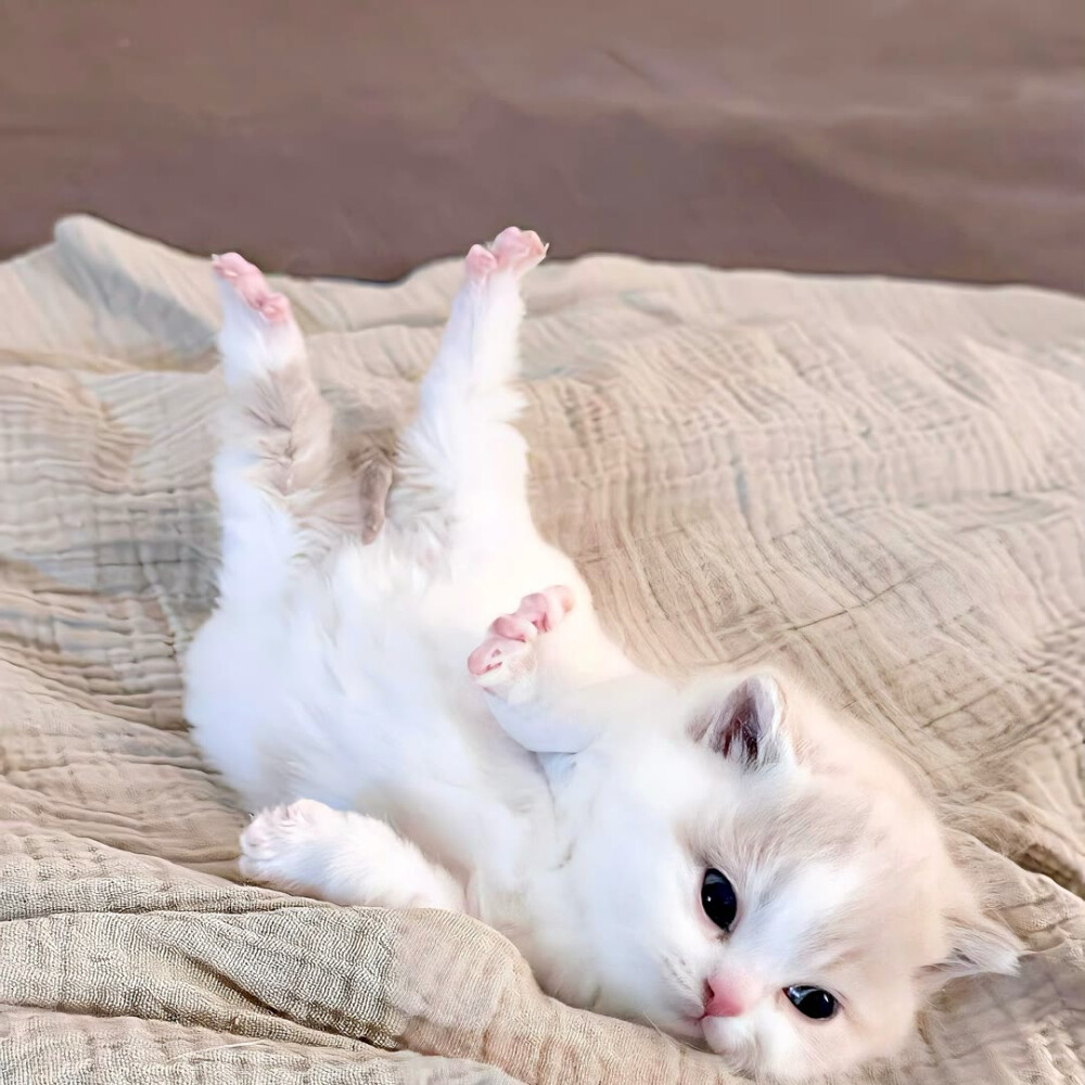 图源ks：偷喝汽水