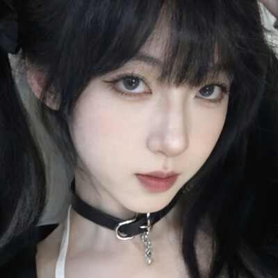 我泥的就请收藏吧好吗，这个我是真的能认出来