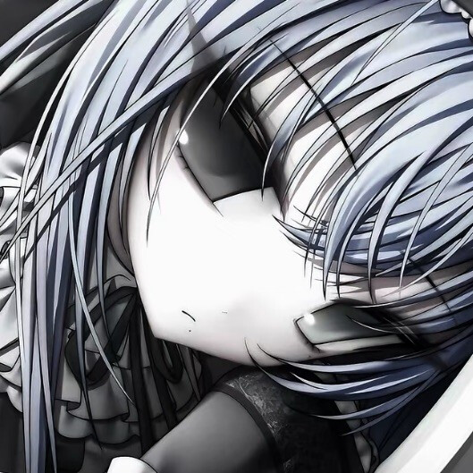 将徒劳贯彻到最后的愚蠢