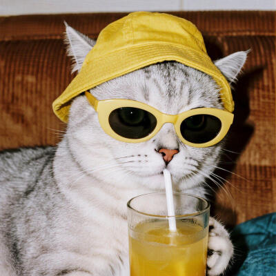 一杯敬早上，一杯敬晚上